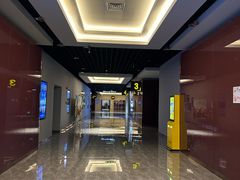 -万达影城(白云万达广场IMAX店)