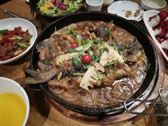 -老板恋上鱼(高新万达店)