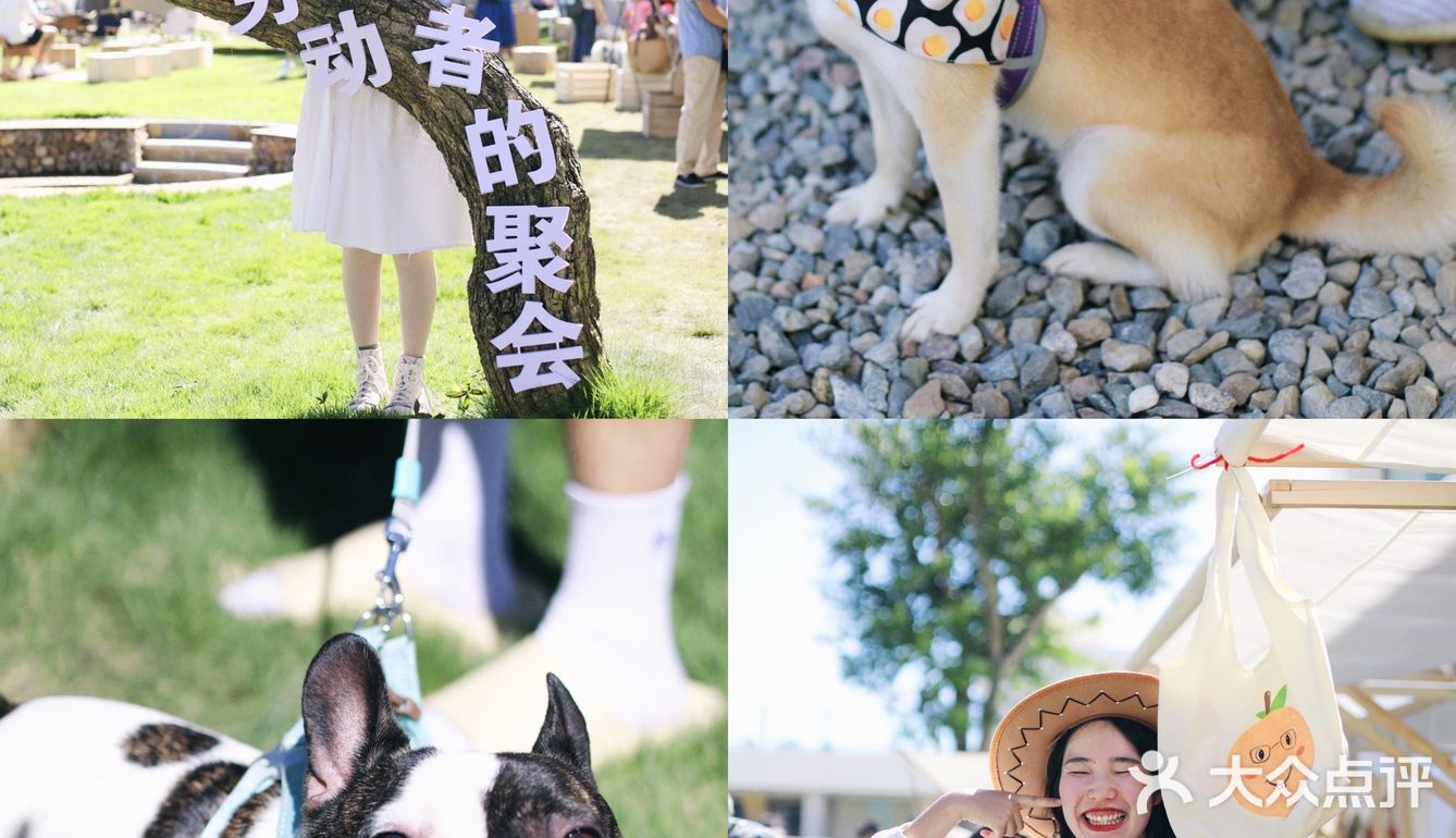 成都周边🍃逃离城市，1h去赶一场手工集市