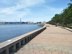 -渔家小院观海海肠捞饭地方菜(环海中路店)