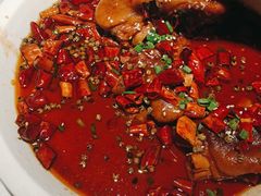 -雲蜀龙阁·金牌水煮鱼(方庄店)