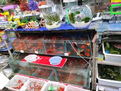 -曲阳花鸟市场(曲阳路店)