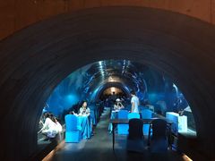 -海棠湾洲际-涛·海底餐厅·美人鱼·自助餐·海底隧道