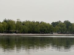 -后海公园