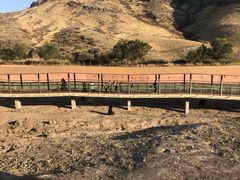 -新疆天山野生动物园