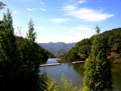 -鲁山国家森林公园