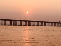 -宝安西湾红树林湿地公园