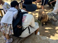 -西霞口神雕山野生动物世界