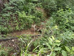 -崂山巨峰游览区