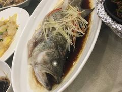 糟溜鲈鱼-明城五号烤鸭坊(建国门店)