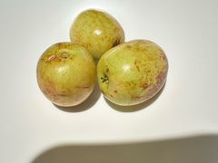 -淮扬府(安定门店)
