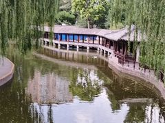 -团结湖公园