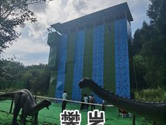 -武陵山森林公园