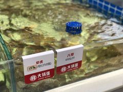 -大锅强·蒸海鲜青岛菜(吾悦广场店)