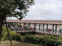 -枫香湖儿童公园