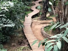 -呀路古热带植物园