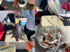 -小猫钓鱼海钓俱乐部(椰梦长廊店)