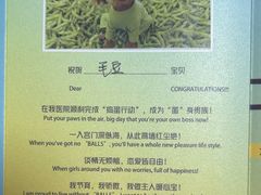 -美联众合动物医院·24h转诊中心