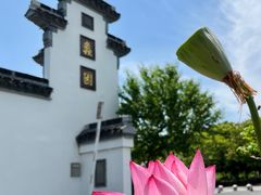 -无锡蠡湖国家湿地公园-蠡园