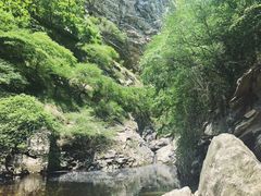 -少华山国家森林公园
