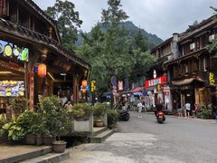 -龙翔山庄雷鸡肉(青城后山泰安古镇店)