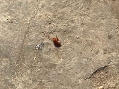 -泰顺江南春面馆