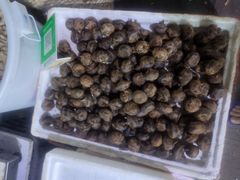 -鸿港海鲜批发市场