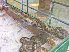 -广东茂名森林公园