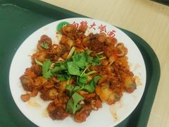 -白鹤大冷面