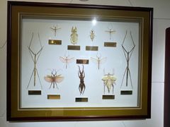 -上海昆虫博物馆