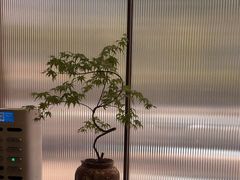 -城北食府(枫林店)