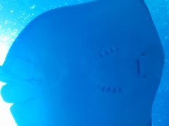 -珠海长隆海洋王国