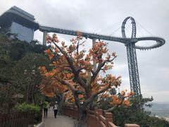 -黄腾峡天门悬廊