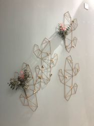 -好看加白色房子