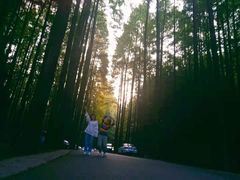 -山王坪喀斯特国家生态公园
