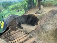 -昆明动物园