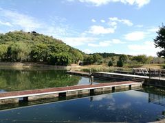 -绍兴镜湖国家城市湿地公园