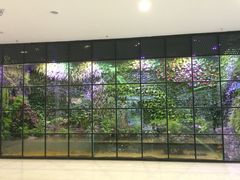 顶楼空中花园-凯德广场(学府店)