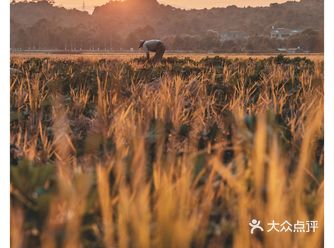 【旅行攻略】和顺古镇日与夜，那些慢下来的日子