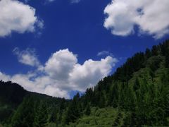 -芦芽山旅游度假区