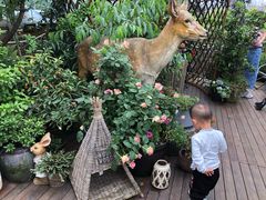 -大隐花事(熊婆婆的花园店)