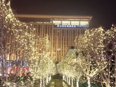 -廊坊固安福朋喜来登酒店