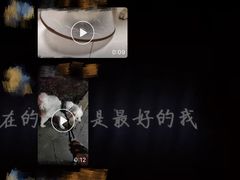 -瑞鹏宠物医院犬猫全科(真大分院)