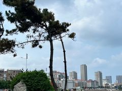 -金海滩海水浴场