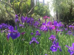 -苏州河梦清园环保主题公园