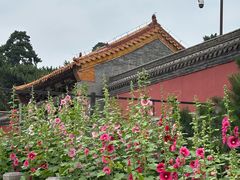 -北陵公园