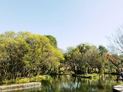 -和顺古镇