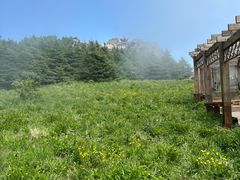 -白草畔自然风景区