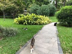 -晓港公园