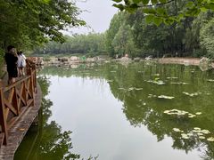 -云岗森林公园